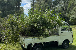 Daihatsu Hijet Truck 1998