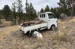 Daihatsu Hijet Truck 1998