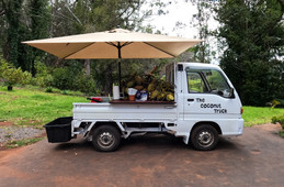 Subaru Sambar Truck 1995