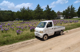 Suzuki Carry Truck 1999