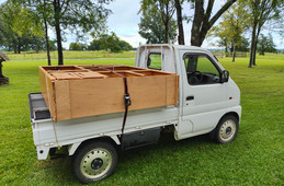 Suzuki Carry Truck 1999