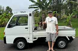 Subaru Sambar Truck 1996