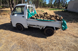 Daihatsu Hijet Truck 1999