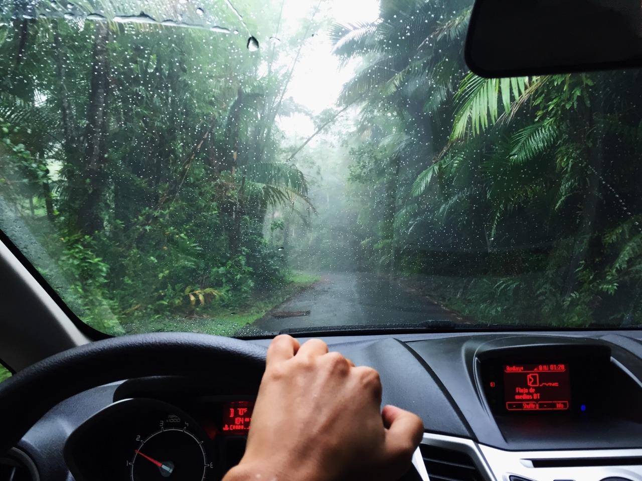 Proper maintenance will keep the interior dry and fresh. Car maintenance in rainy season