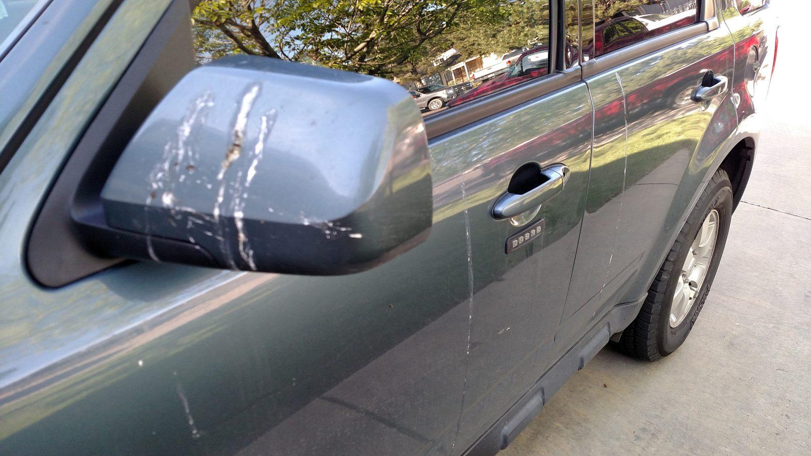 Best way to protect your car is wax and paint sealant bird poop on car