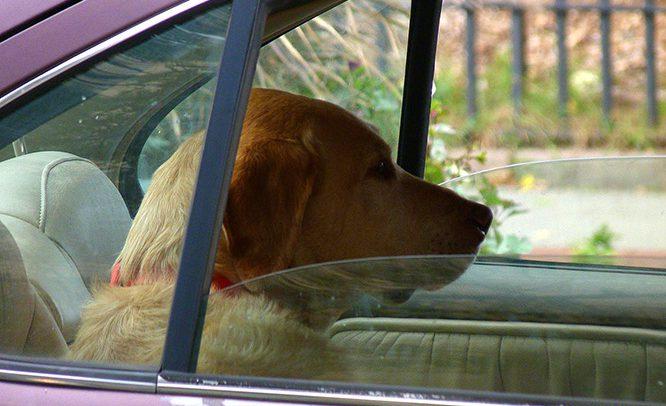Keep the rear windows open for a couple of seconds. using ac in hot weather