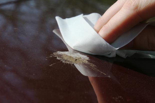 Removing the deposit is the first step to the paint repair. remove bird poop on car