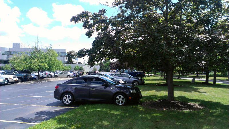 Park in shades during the summer season. car fire prevention