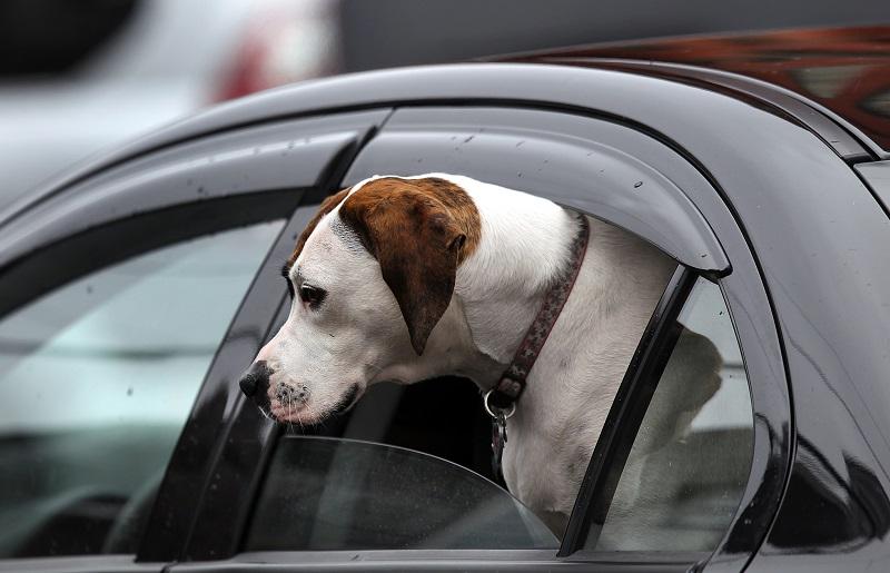 Keep the windows open during city driving. AC on vs Windows down