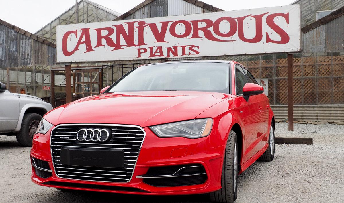 A plug-in hybrid use fuel and electric charge. do you need to charge a hybrid car