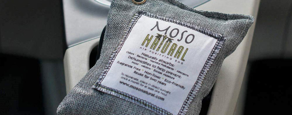 Air Purifying Bag car air freshener