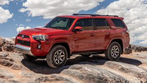 Which Cars Do Not Have Soy Based Wiring? Keeping Cars Infestation Free!