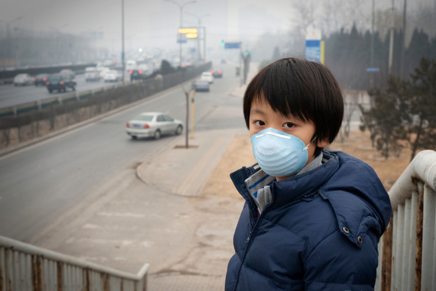 Car Air Pollution car air pollution facts