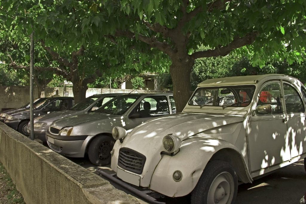 park the car in shady spot