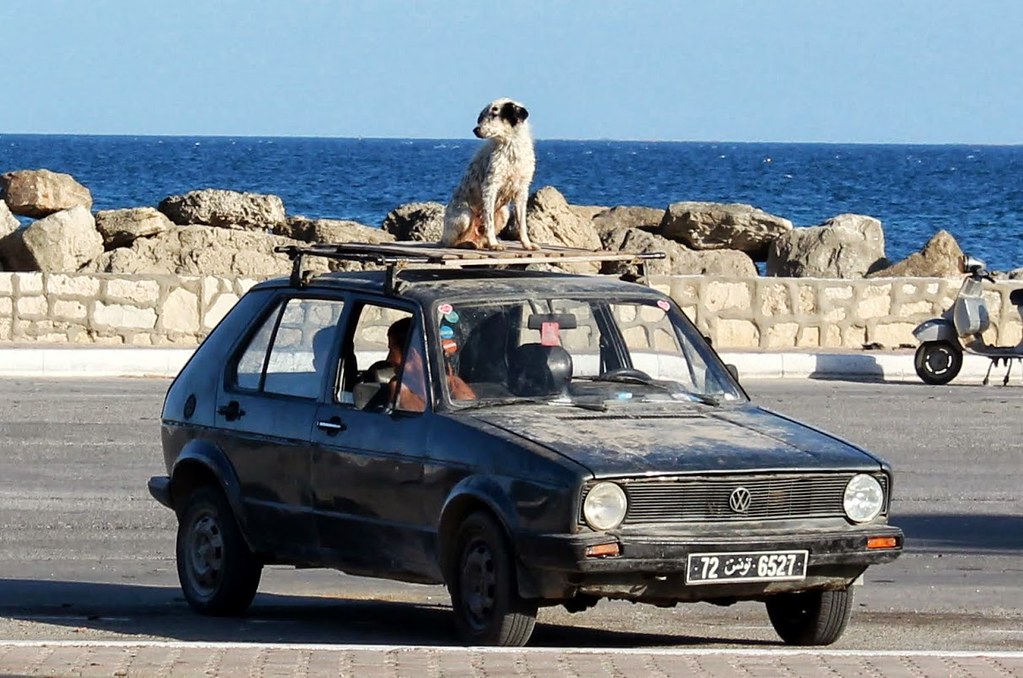 funny traffic laws US