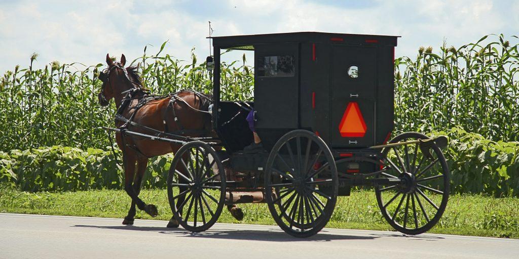 A Cart How to install air horn