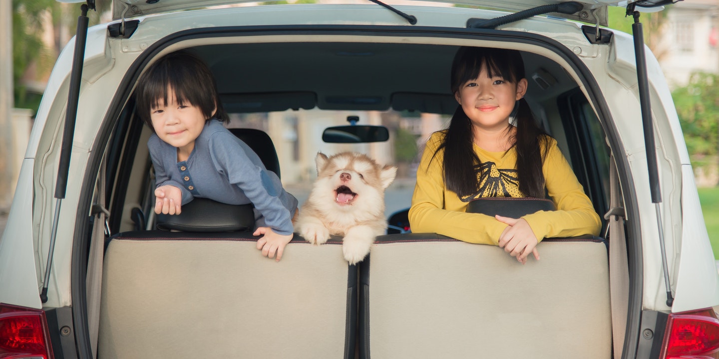 Top 10 Tips For Traveling With Pets In The Car CAR FROM JAPAN